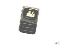 casio 100.jpg