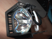 im000982 (small).gif