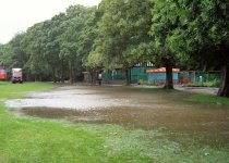 park.jpg