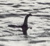 Nessie.jpg