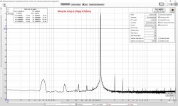 Muscle-Amp-2vpp-47ohms-FFT-ss.jpg
