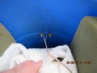 IMG_1048.JPG