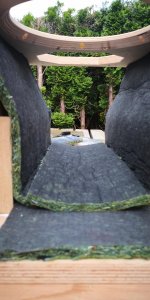 IMG_20190609_174437.jpg