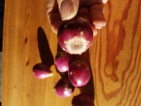 20190910_183031.jpg