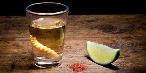 tequila-worm-header.jpg