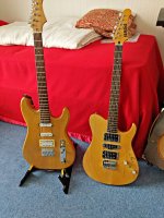 nice pair.jpg