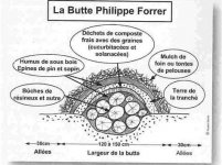 FEDBD098-B127-443D-A414-BE847CF61D59.JPG