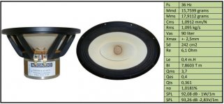 Oval.JPG