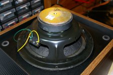 Bose 301.JPG