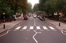 Zebra Crossing.jpg