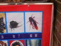 DSCN1841.jpg