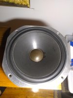 IMG_20190811_224442719.jpg
