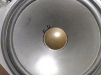 IMG_20190811_224503671.jpg