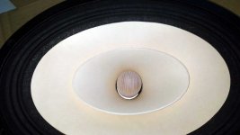 IMG_20190826_190825.jpg