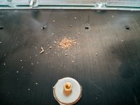 Screw-up-copie.jpg