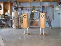 bifonken in shop.jpg