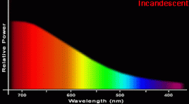 spect-incandescent.gif