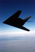 f117.jpg