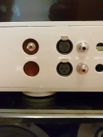 20190723_095419.jpg