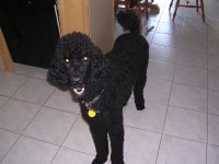 DSCN2781.JPG