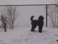 DSCN58151.JPG