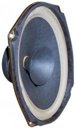 delco-4ohm-6x9FRw.jpg