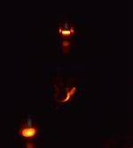 DSC_4092.jpg