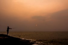 1428462798-resizeIMG8-o.jpg