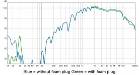 Foam Plug Study - FR.jpg