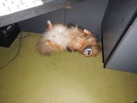 DSCN9223.jpg