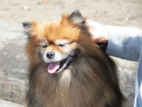 IMG_0583.jpg