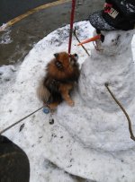 IMG_20171225_152408.jpg
