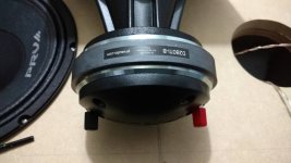 IMG_20191011_092411584.jpg