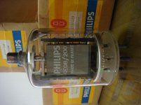 DSC01503.jpg