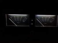 20190713_083811.jpg