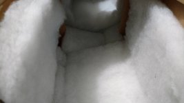 IMG_20191012_223625835.jpg