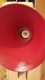TB in red horn.jpg
