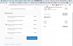 GB Shipping - Virtual Zero Audio Store - Checkout 2019-09-03 15-57-08.jpg