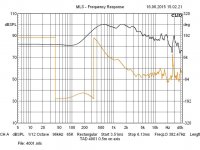 TAD TH4001 horn with 4001 driver.jpg