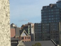 C187E597-94CA-4B79-98EF-7D8460BB0FC3.jpeg