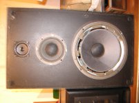 IMG_2922.jpg