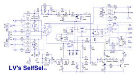 SelfSel2.png