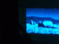 s1030184-web.jpg
