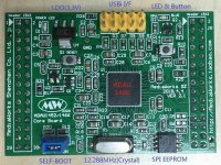 ADAU1452-1466-Green.jpg