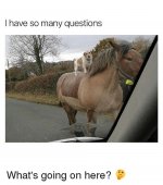questions.jpg