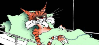 W_kitty.png