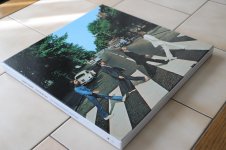 IMG_0338.jpg