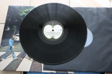 IMG_0345.jpg