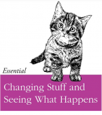 cat.png