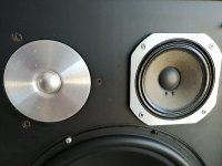 IMG_20190826_161206.jpg